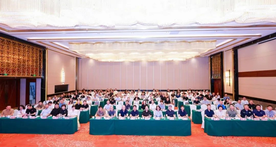 携手同行，智创电气未来